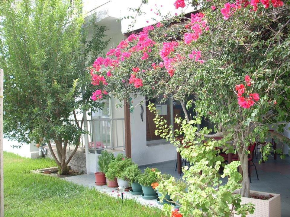 מסטיכרי Sea Breeze 2 Apartments מראה חיצוני תמונה